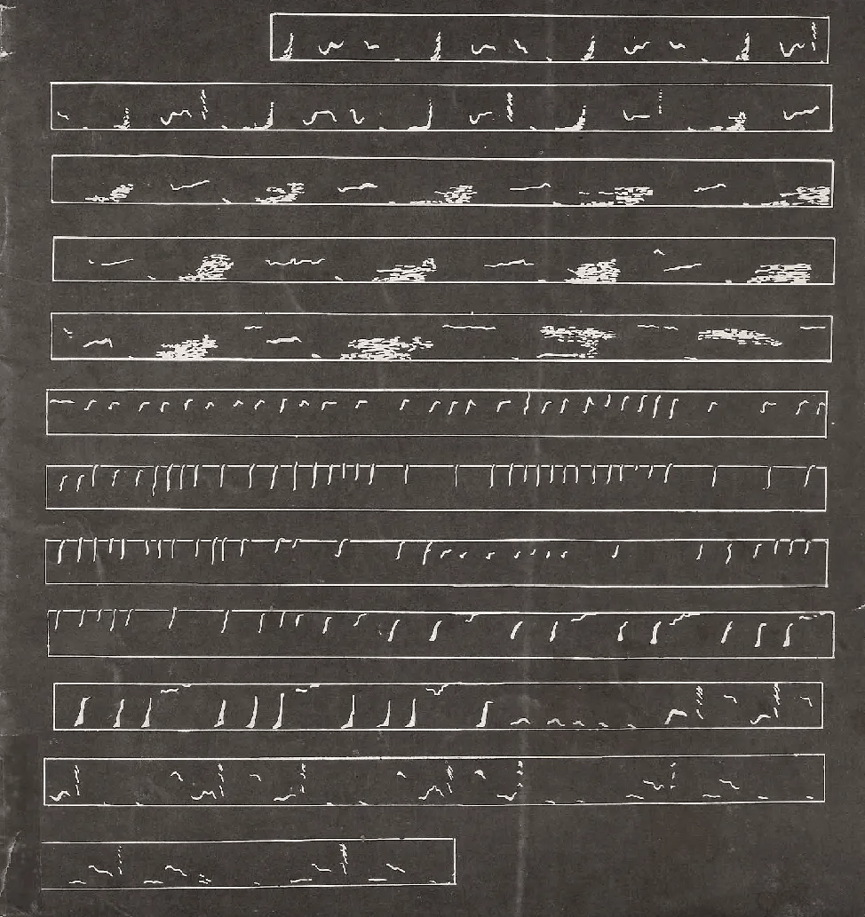 Black and white spectrogram marks of whale song