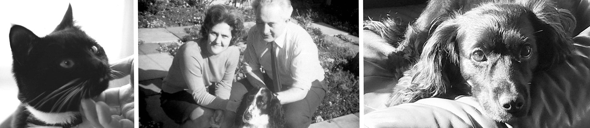 pets and owners