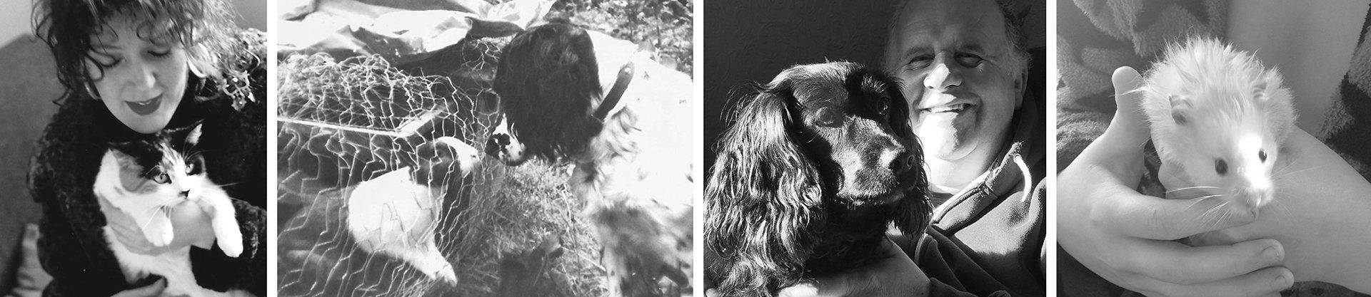 owners with their pets