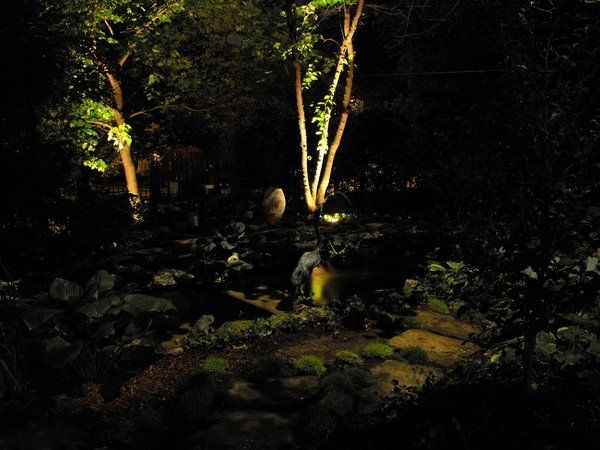 A person is walking through a dark forest at night.