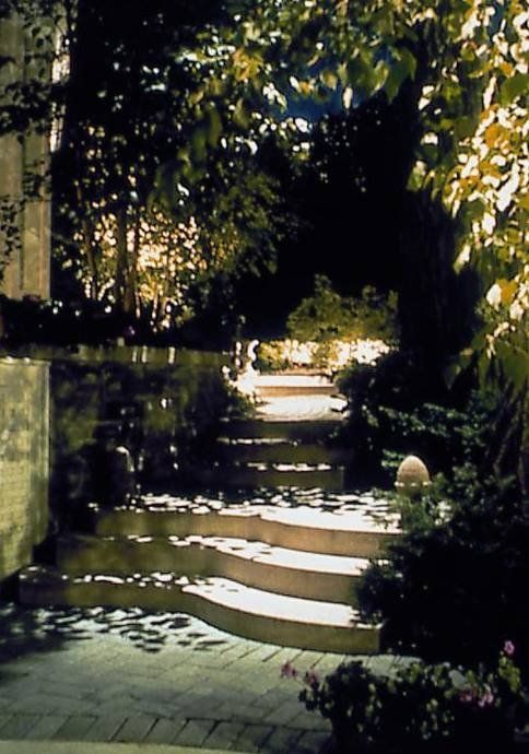 A set of stairs leading up to a lush green forest