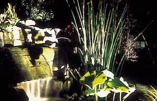 A waterfall is lit up at night in a garden surrounded by plants.