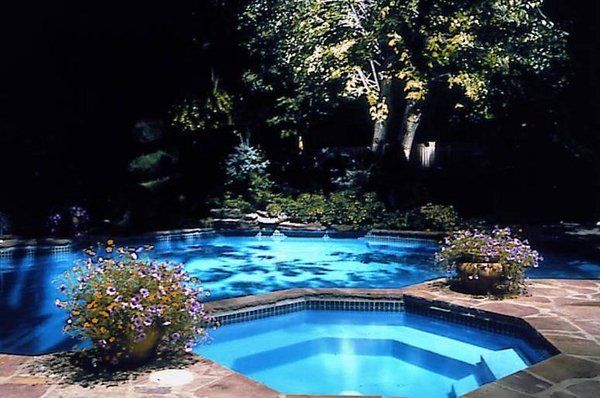 A large swimming pool surrounded by trees and flowers