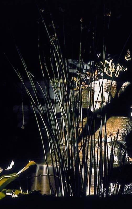 A silhouette of a person standing in front of a fountain at night.