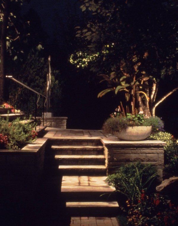 The stairs are lit up at night and there is a potted plant on the steps