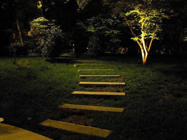 A path in the grass is lit up at night