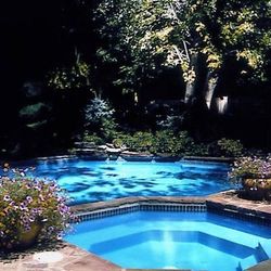 A large swimming pool surrounded by trees and flowers