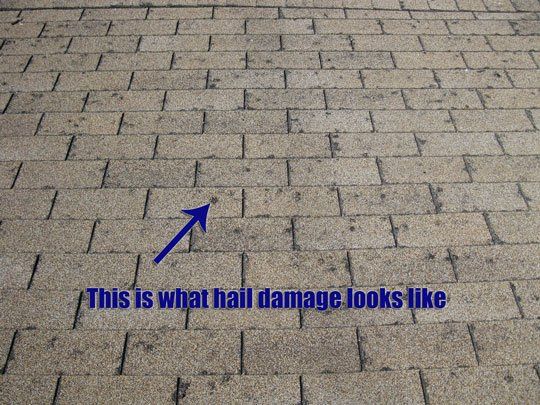 Roof shingles with hail damage, marked by a blue arrow and caption text.