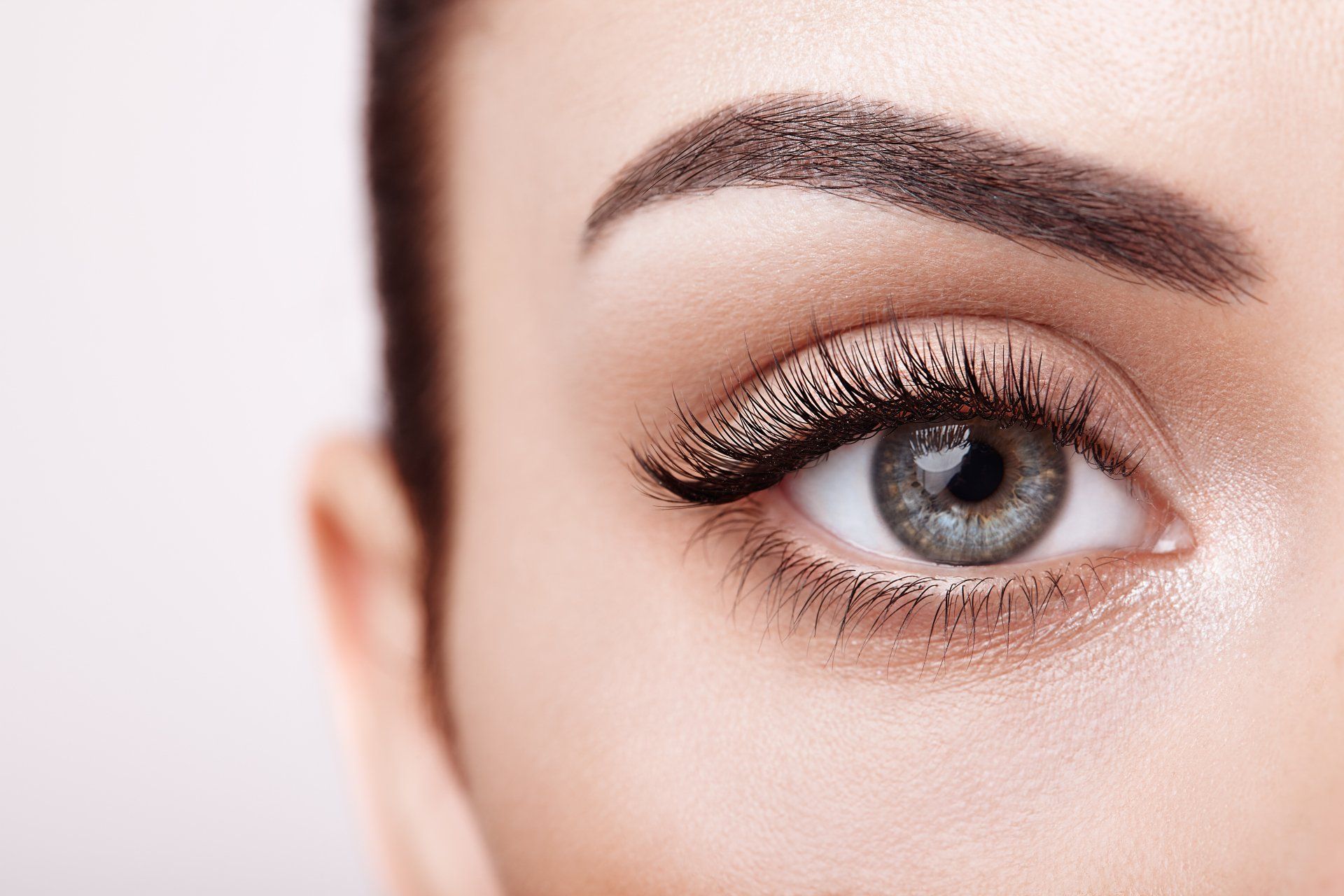 eye and eyebrow
