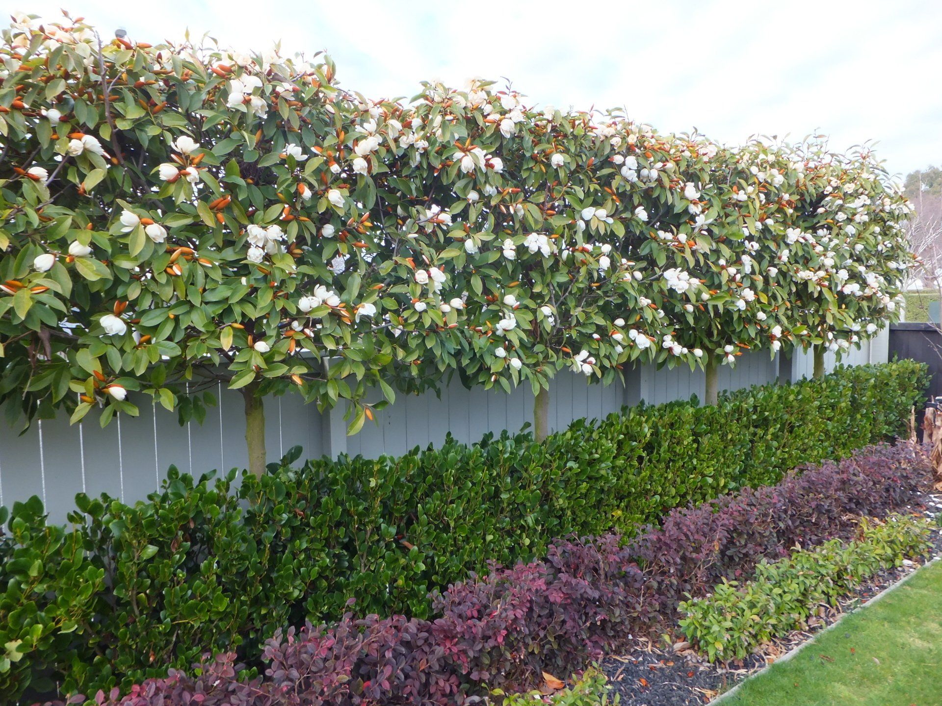 Layered Landscape Design by EPIC Landscapes Christchurch