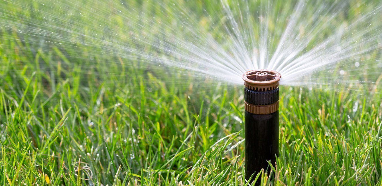 Lawn Irrigation - EPIC Landcsape Design Christchurch
