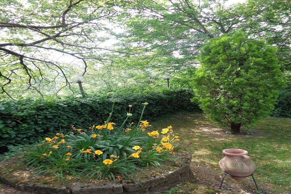 Giardino
