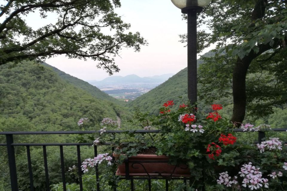 Panorama