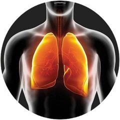 Home Doctors - Home Inspections | Radon Test