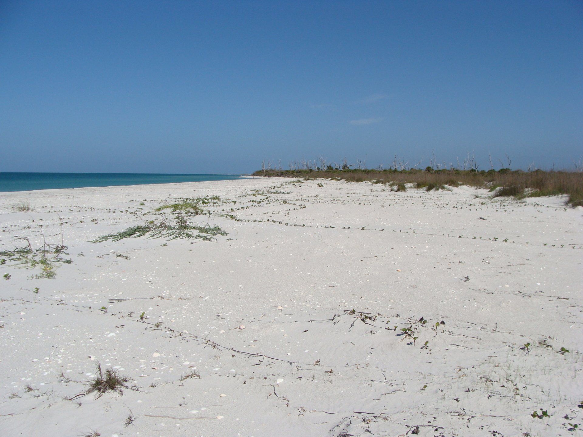 A sandy beach with a blue sky in the background