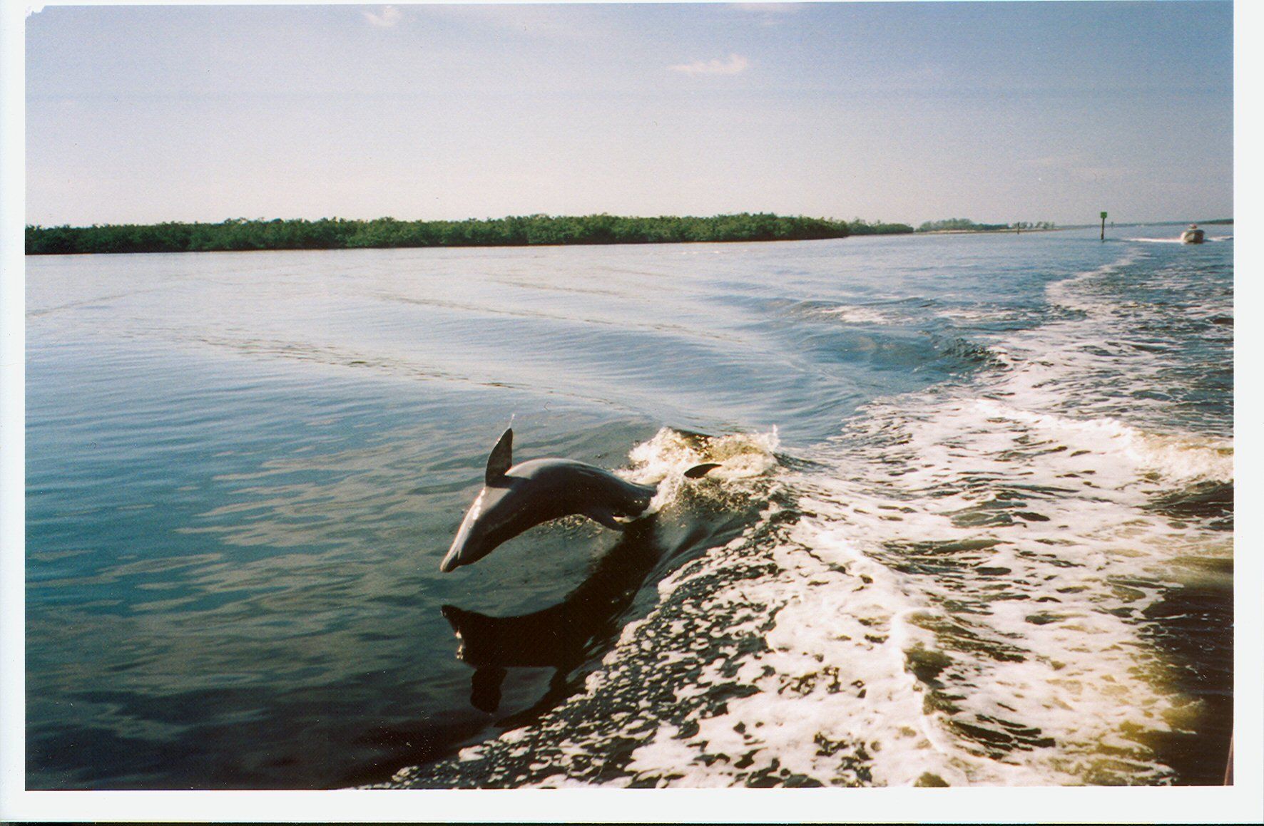 A dolphin is jumping out of the water behind a boat