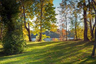 iStock_000014603981_Small copy