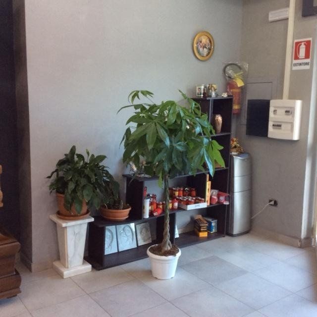 interno del negozio