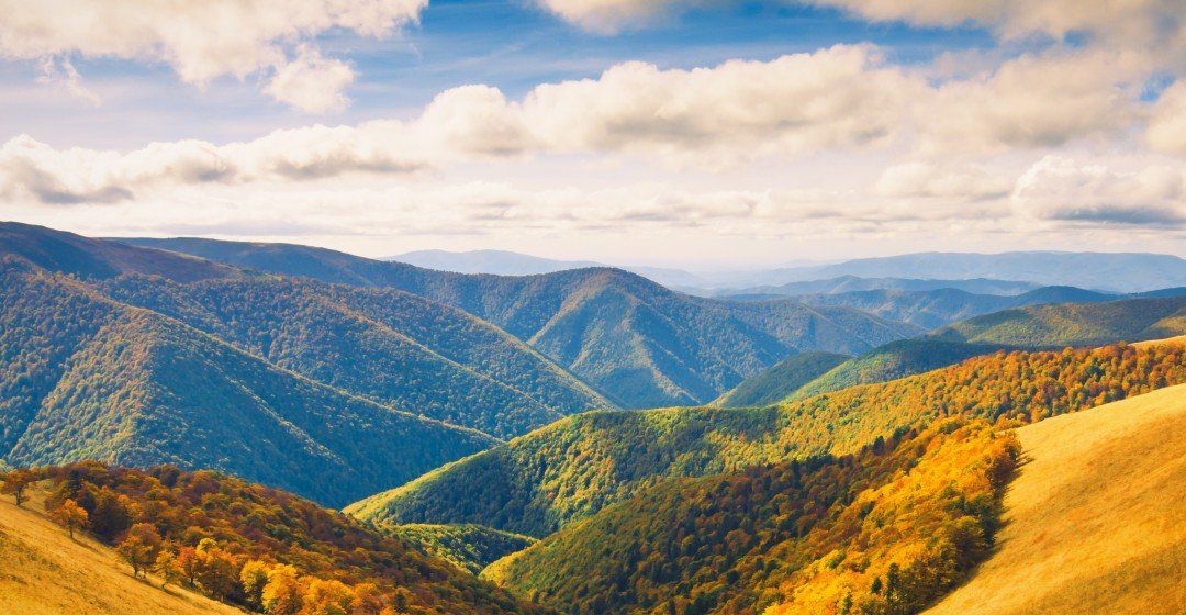 A view of a mountain range with trees and grass on a sunny day.