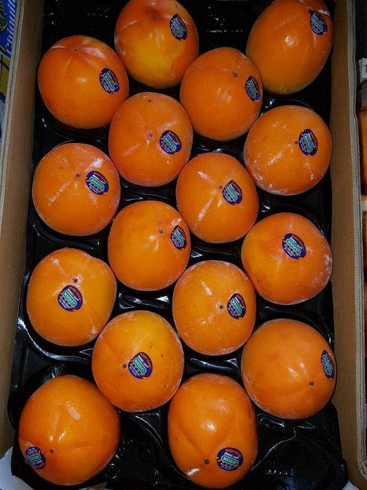 arance di Sicilia
