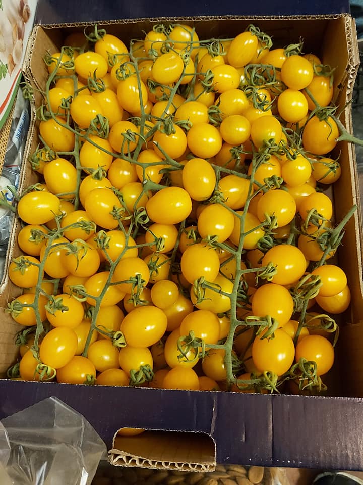 pomodorini gialli
