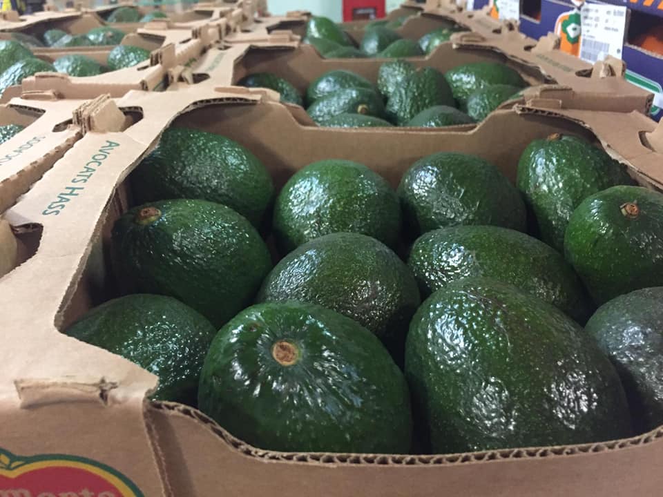 avocado