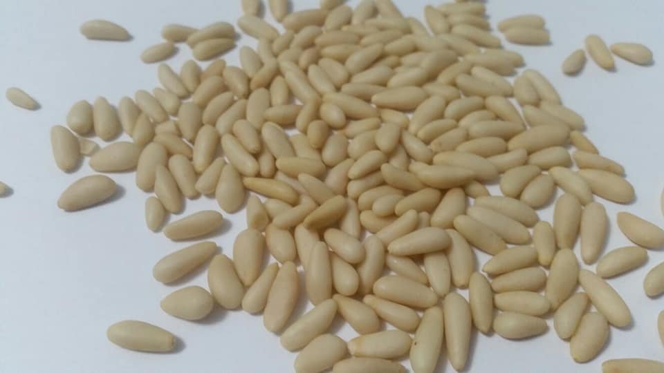 pinoli