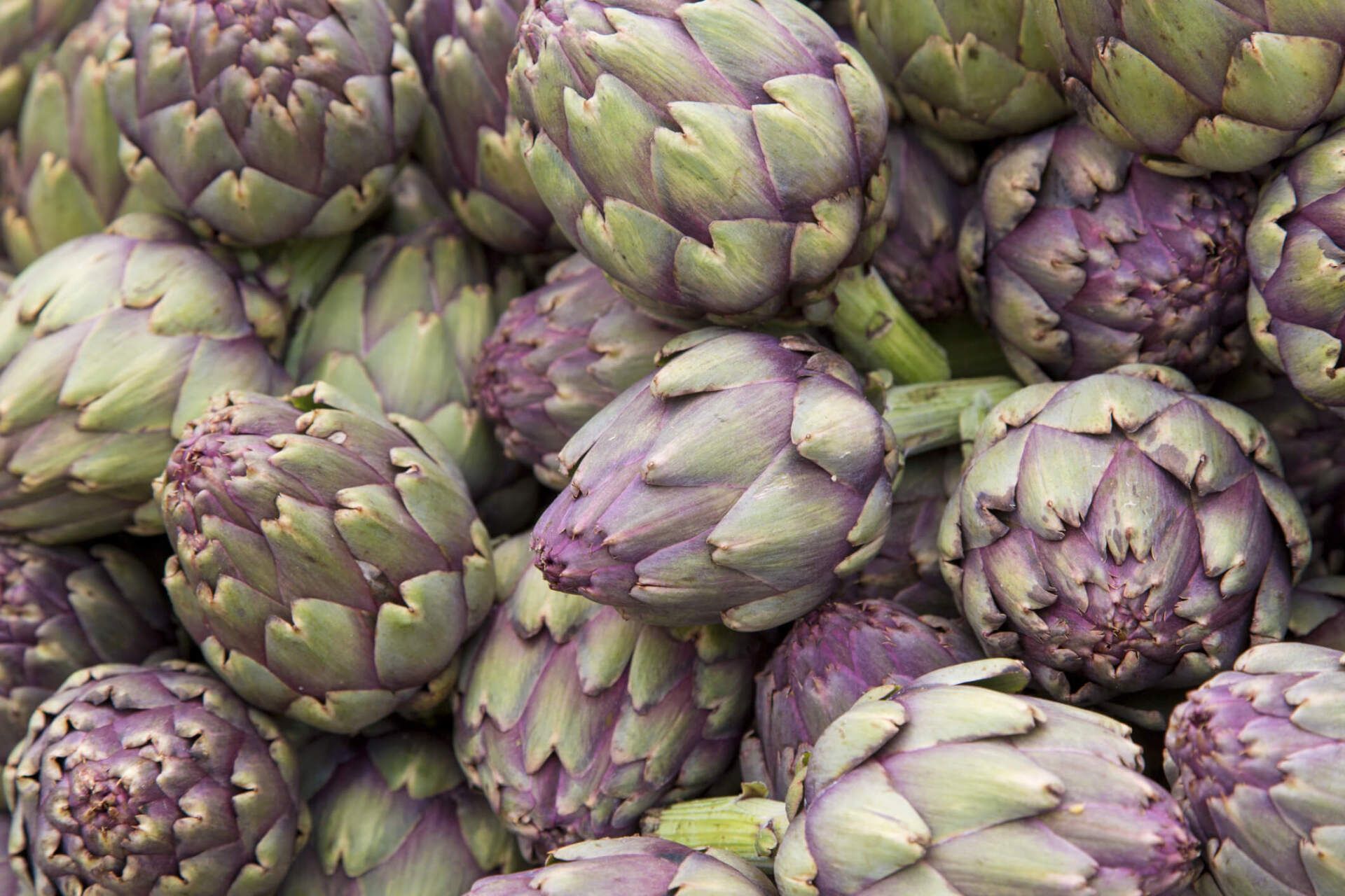 carciofi freschi