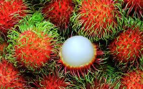 frutti esotici per la distribuzione all'ingrosso