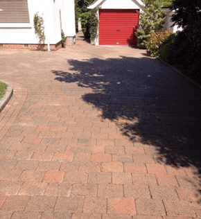 landscape cleaning