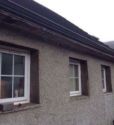 gutter cleaning