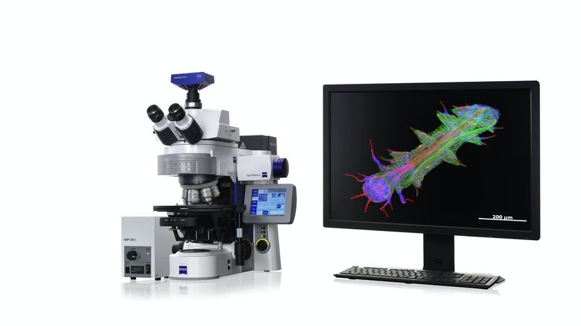 A computer monitor is sitting next to a microscope.