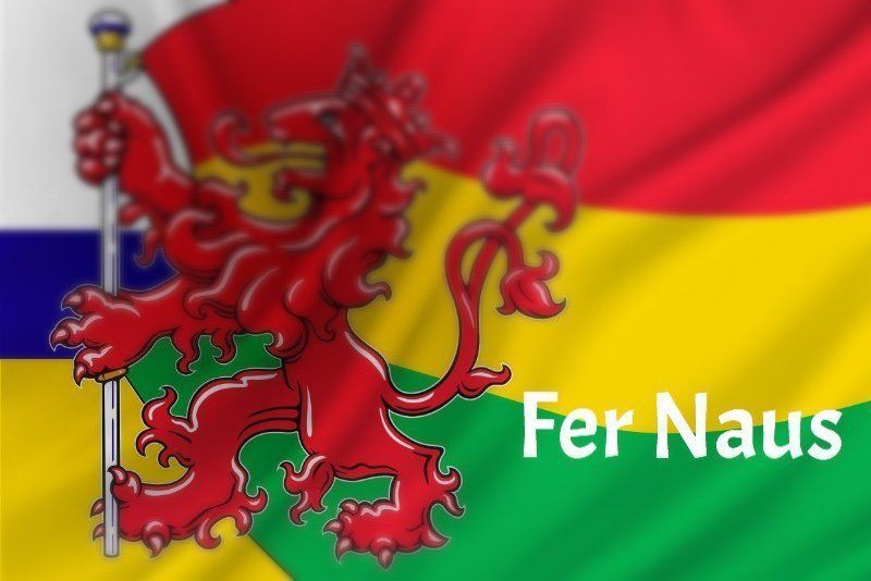 Fer Naus