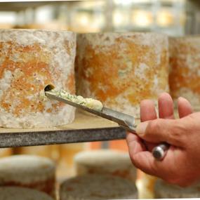 New Lodge Farm Dairy Produce