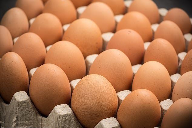 New Lodge Farm Fresh Eggs