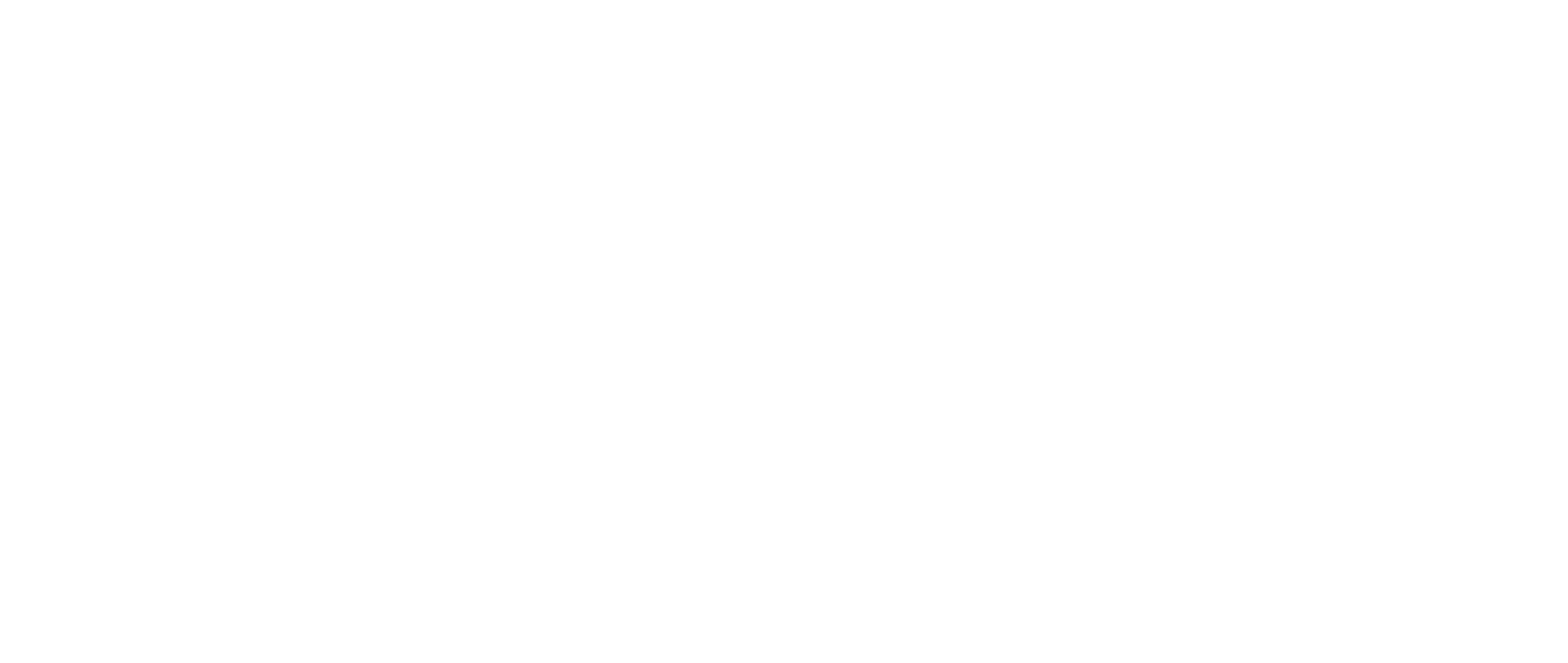 Providence Academy Logo in white