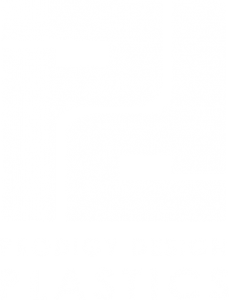 prodigy logo