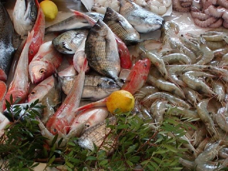 Pescheria Dolfi Fulvio