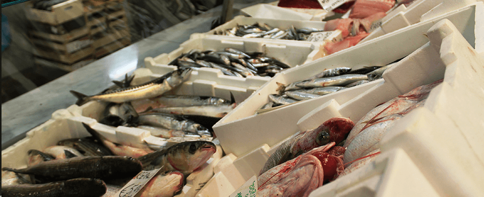 Pescheria Dolfi Fulvio