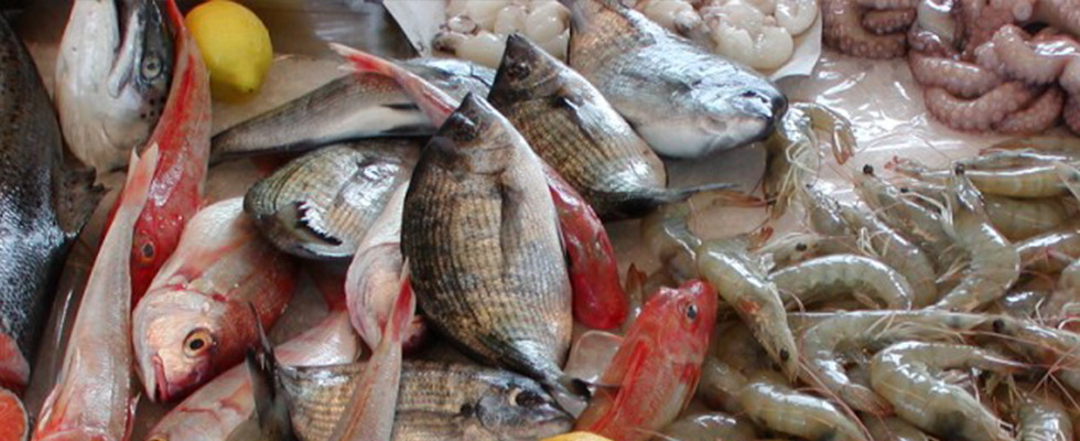 Pescheria Dolfi Fulvio