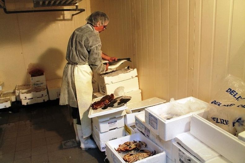 Pescheria Dolfi Fulvio