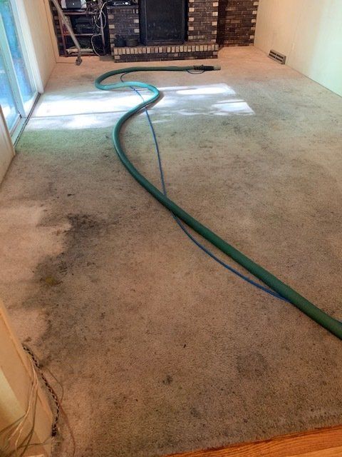 Carpet 1 — South Bend, IN — Crimmins Carpet Services