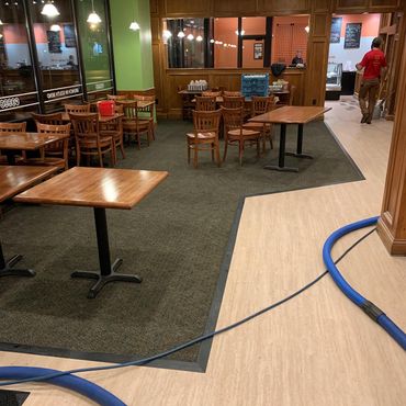 Upholstery Cleaning — South Bend, IN — Crimmins Carpet Services