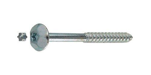 Tornillo Inviolable