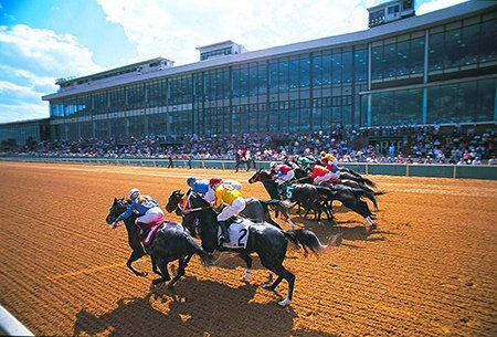 Horse Racing