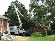 Ron's Truck — Tree Service in Wilmington, DE Ron's Truck — Tree Service in Wilmington, DE