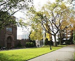 Commercial building with trees — Tree Service in Wilmington, DE Commercial building with trees — Tree Service in Wilmington, DE