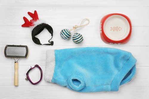 accessori per cani
