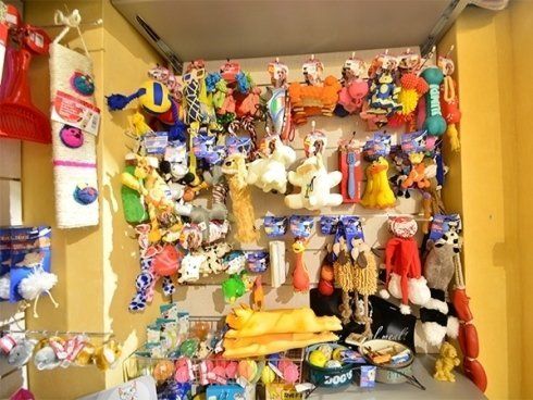 vendita giochi per cani