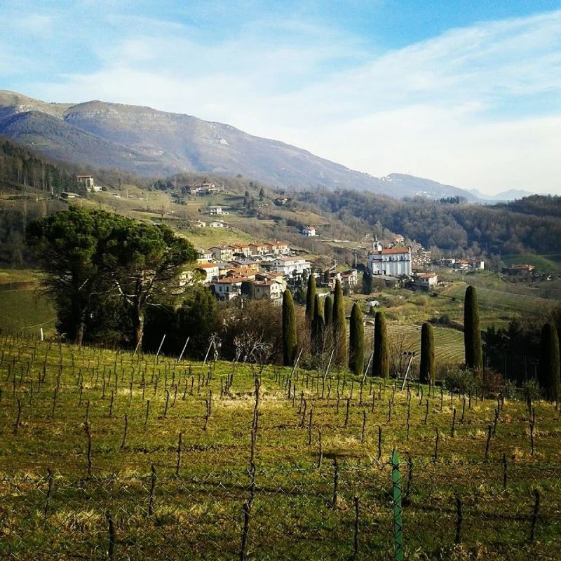 Campagna